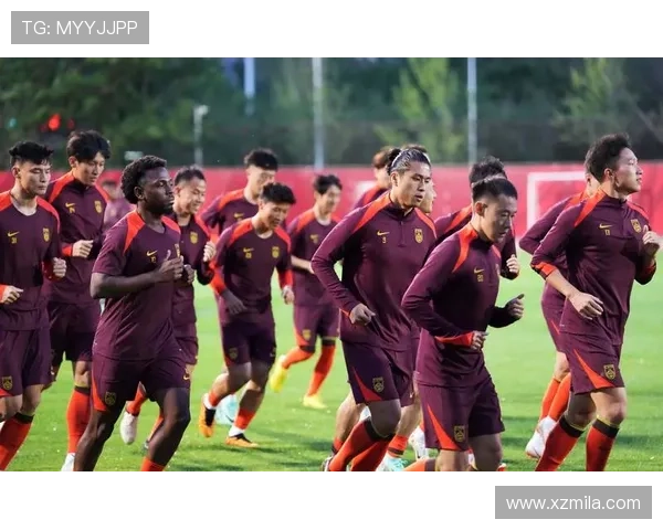 国家队备战世界杯预选赛主帅调整战术力争小组出线前景与球迷期待高涨